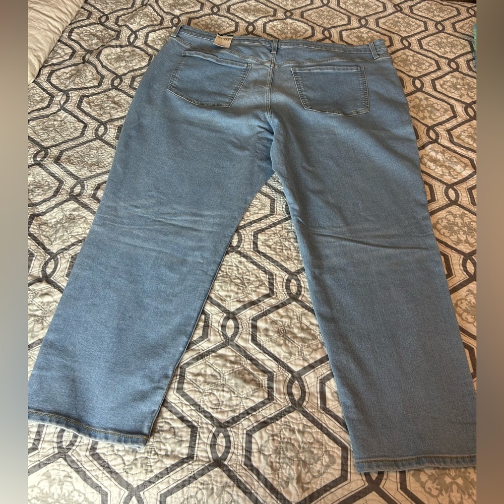 Terra & Sky NWT Plus Size 28W-30W 4X Skinny Jeggings High Rise Stretch Denim - Picture 2 of 2